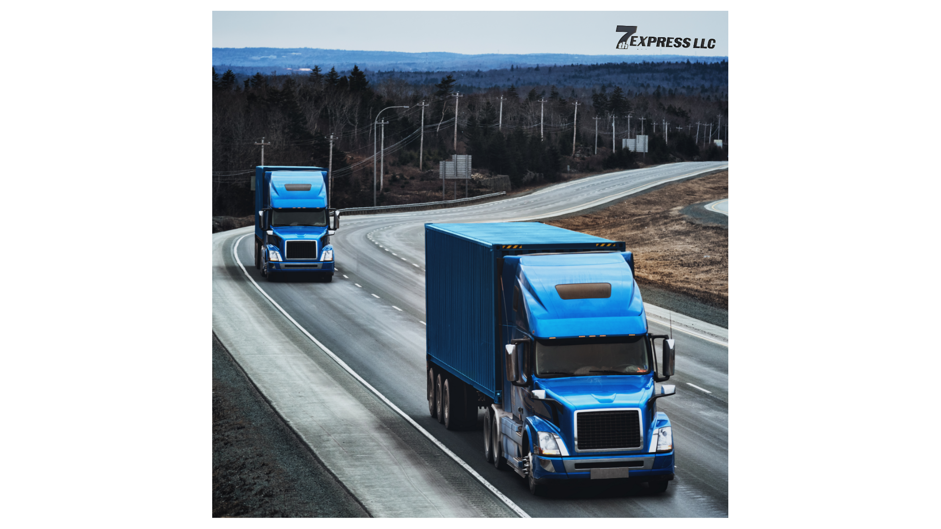 Logistics Director
